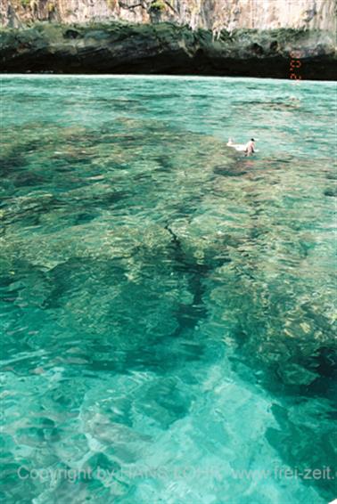 Koh Pee Pee 2000, Snorkeling excursion, F1060031_478